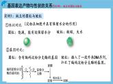 4.2《基因表达与性状的关系》课件 人教版高中生物必修二