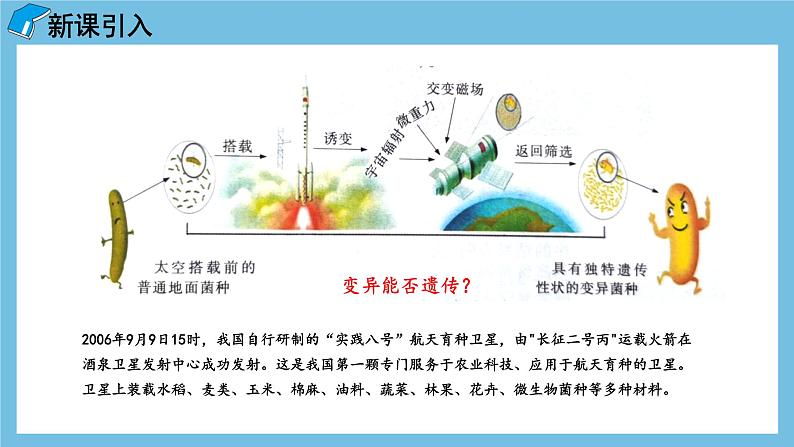 5.1《基因突变和基因重组》课件 人教版高中生物必修二第3页