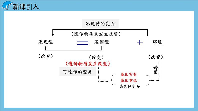 5.1《基因突变和基因重组》课件 人教版高中生物必修二第4页