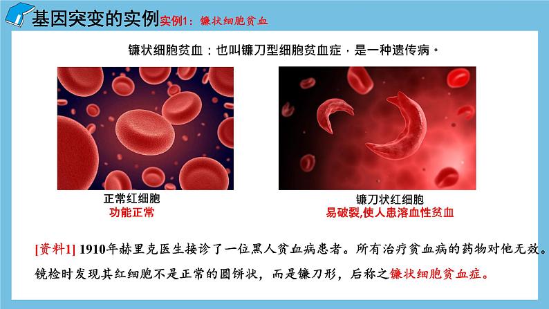 5.1《基因突变和基因重组》课件 人教版高中生物必修二第7页