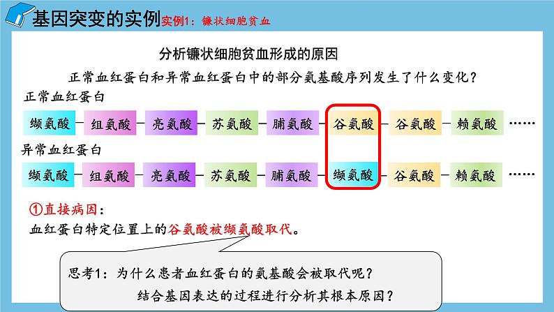 5.1《基因突变和基因重组》课件 人教版高中生物必修二第8页