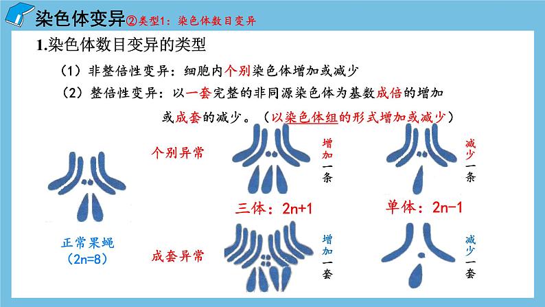 5.2《染色体变异(第1课时)》课件 人教版高中生物必修二第7页