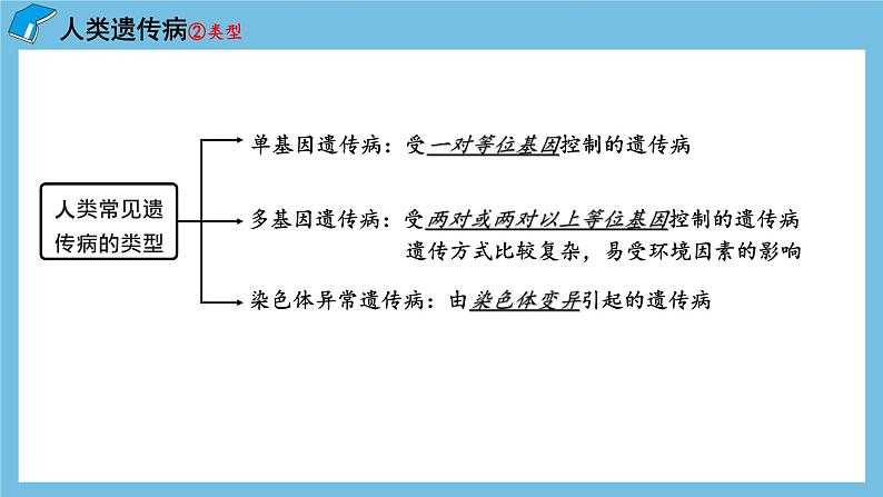 5.3《人类遗传病》课件 人教版高中生物必修二07