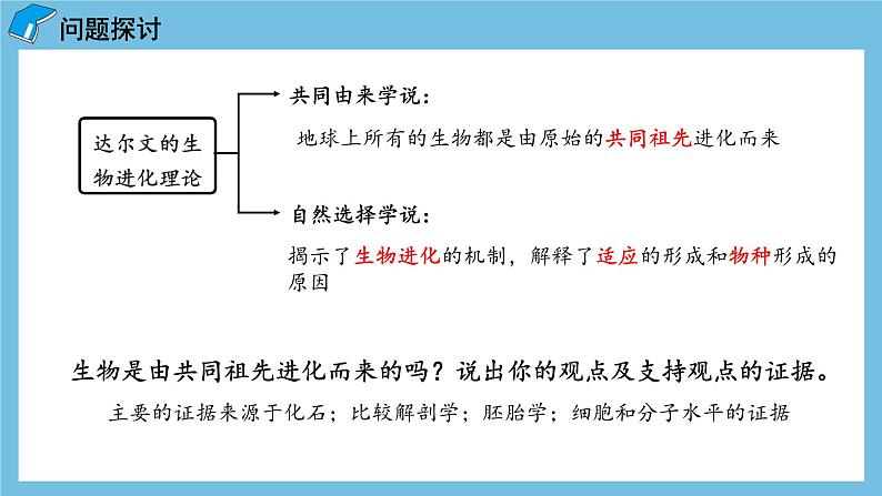 6.1《生物有共同祖先的证据》课件 人教版高中生物必修二07