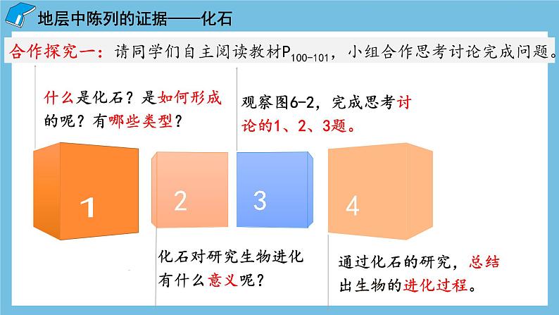 6.1《生物有共同祖先的证据》课件 人教版高中生物必修二08