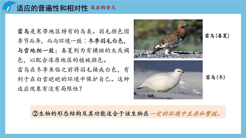 6.2《 自然选择与适应的形成》课件 人教版高中生物必修二第5页