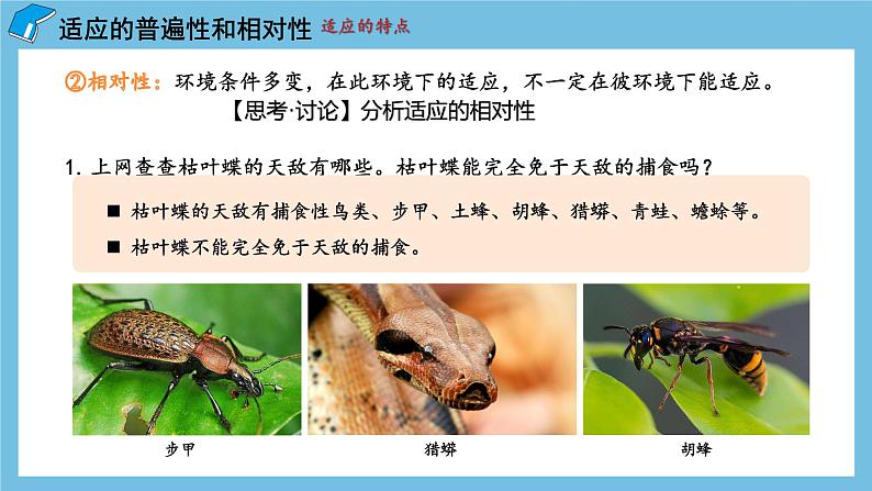 6.2《 自然选择与适应的形成》课件 人教版高中生物必修二第7页