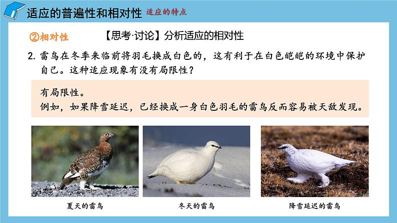 6.2《 自然选择与适应的形成》课件 人教版高中生物必修二第8页