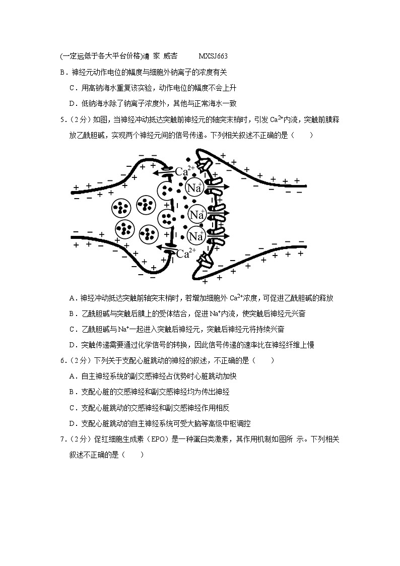 北京市四中2023-2024学年高二上学期期中生物试题第2页