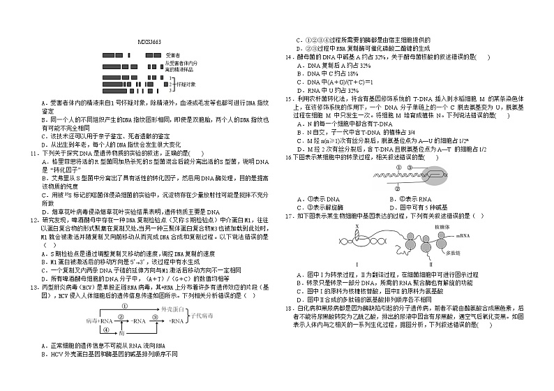 广东省梅州市梅县东山中学2023-2024学年高二上学期开学考生物试卷第2页
