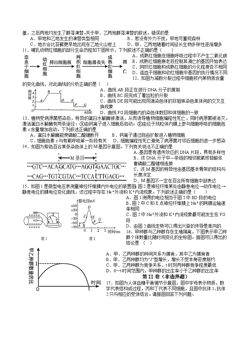 广东省汕头市潮南区龙岭中英文学校2023-2024学年高二上学期第三次月考生物试题第2页