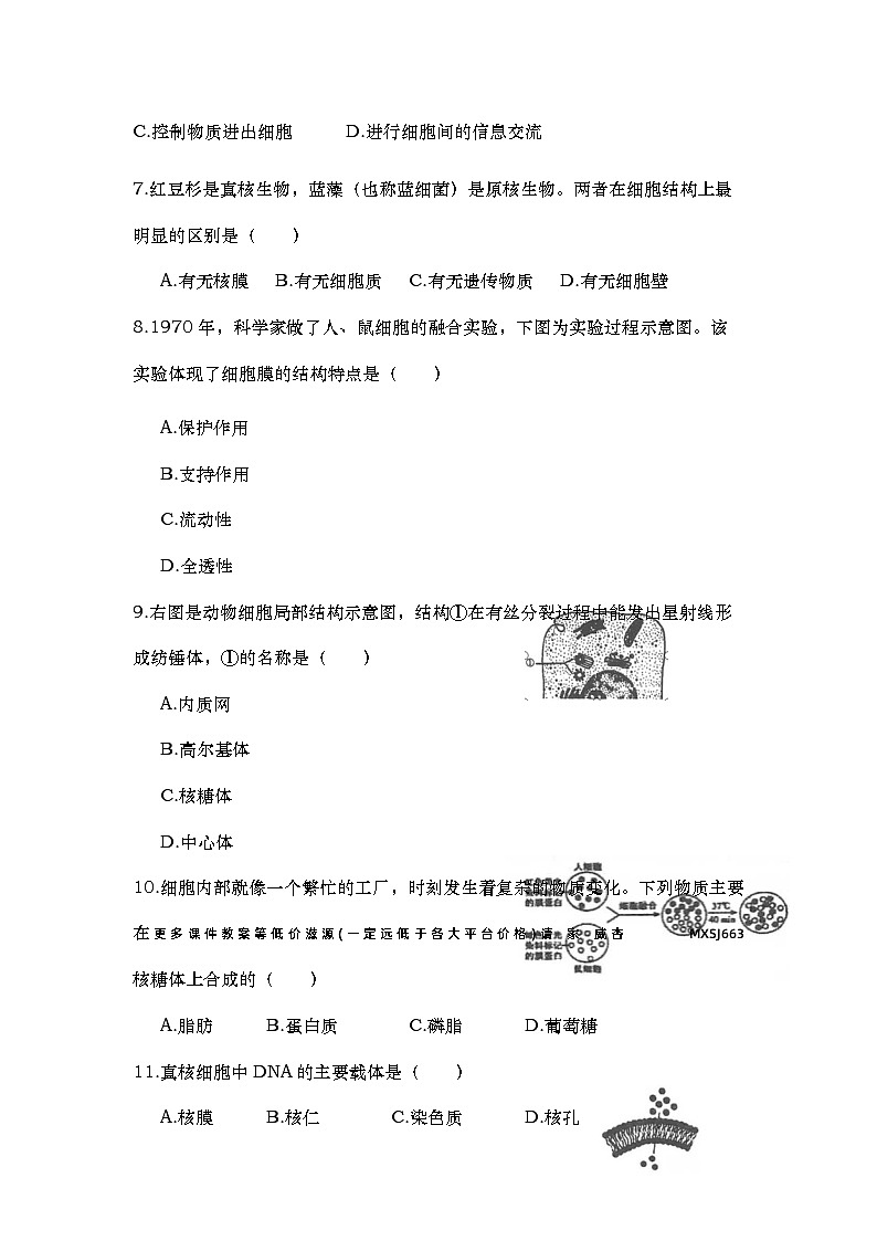 江苏省淮安市涟水县第一中学2023-2024学年高一上学期第二次月考生物试卷第2页