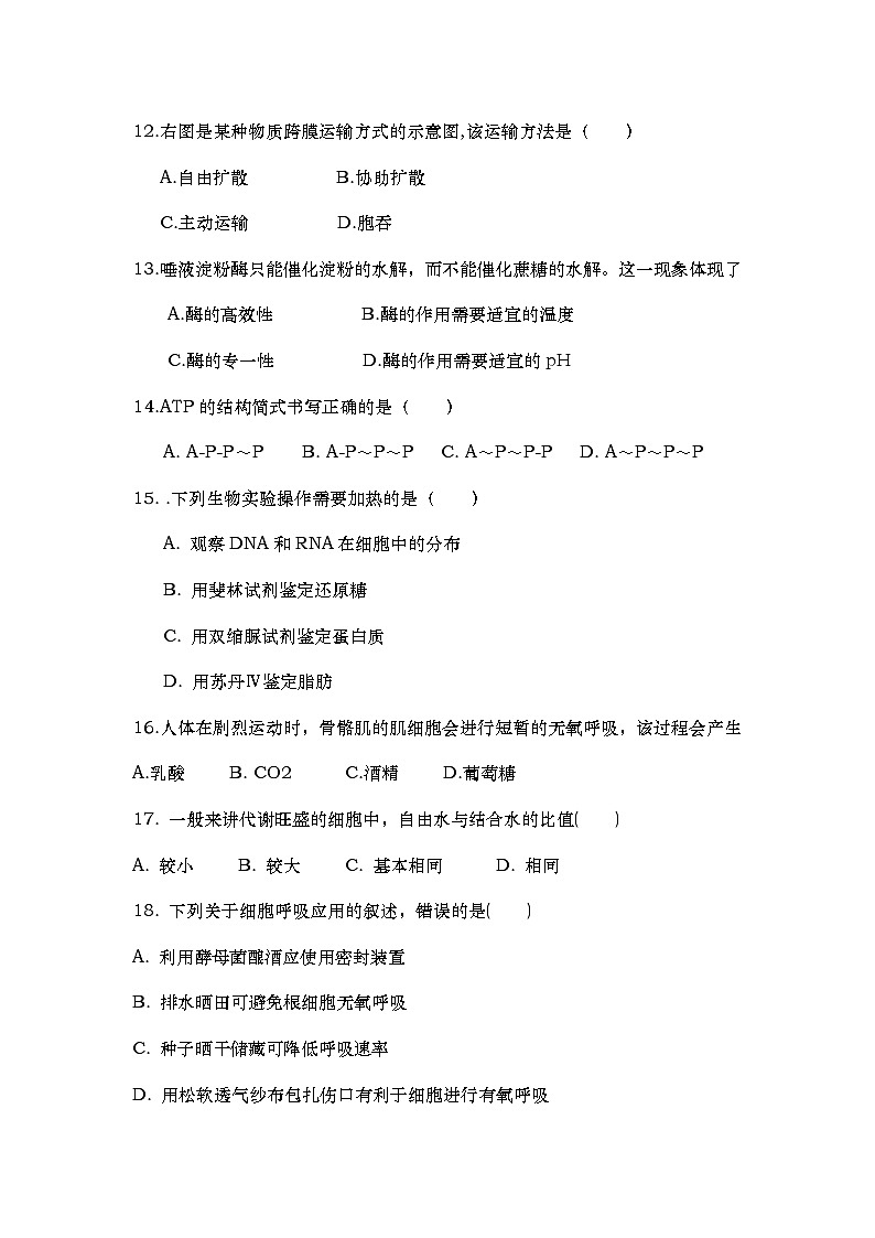 江苏省淮安市涟水县第一中学2023-2024学年高一上学期第二次月考生物试卷第3页