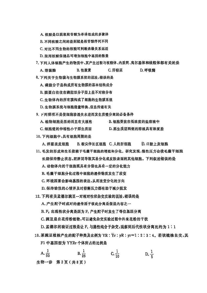 2024德阳高三上学期第一次诊断性考试生物PDF版无答案02