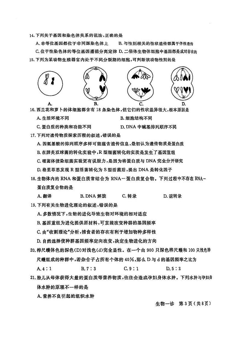2024德阳高三上学期第一次诊断性考试生物PDF版无答案03