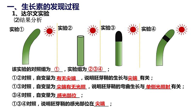 5.1《植物生长素》课件08