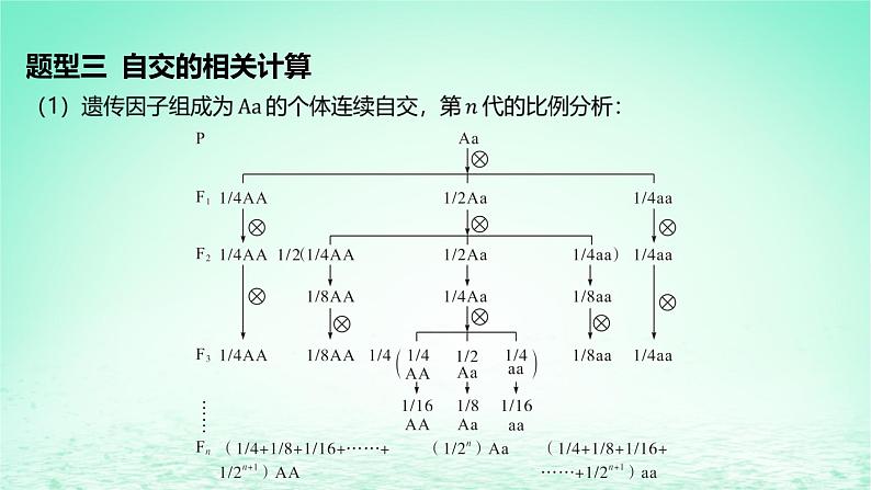 江苏专版2023_2024学年新教材高中生物第1章遗传因子的发现微专题1连续自交及分离定律遗传特例分析课件新人教版必修2第4页