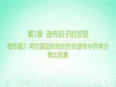 江苏专版2023_2024学年新教材高中生物第1章遗传因子的发现微专题2两对基因控制的性状遗传中异常分离比现象课件新人教版必修2