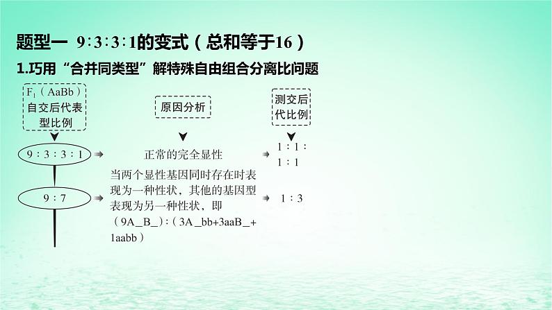 江苏专版2023_2024学年新教材高中生物第1章遗传因子的发现微专题2两对基因控制的性状遗传中异常分离比现象课件新人教版必修202