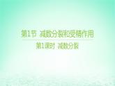江苏专版2023_2024学年新教材高中生物第2章基因和染色体的关系第1节减数分裂和受精作用第1课时减数分裂课件新人教版必修2