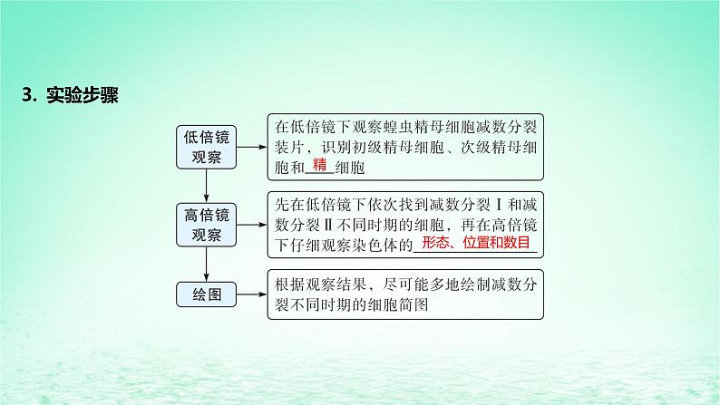 江苏专版2023_2024学年新教材高中生物第2章基因和染色体的关系第1节减数分裂和受精作用第2课时受精作用课件新人教版必修206