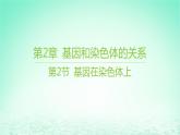 江苏专版2023_2024学年新教材高中生物第2章基因和染色体的关系第2节基因在染色体上课件新人教版必修2