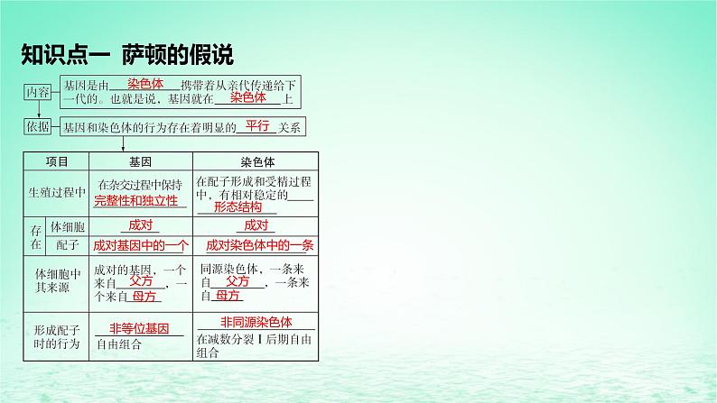 江苏专版2023_2024学年新教材高中生物第2章基因和染色体的关系第2节基因在染色体上课件新人教版必修2第5页