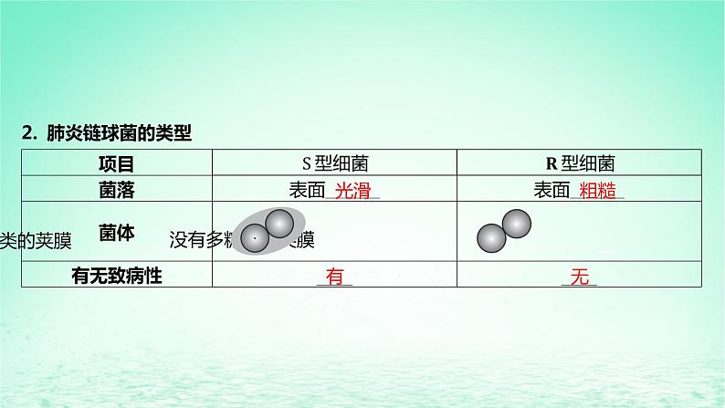 江苏专版2023_2024学年新教材高中生物第3章基因的本质第1节DNA是主要的遗传物质课件新人教版必修2第6页