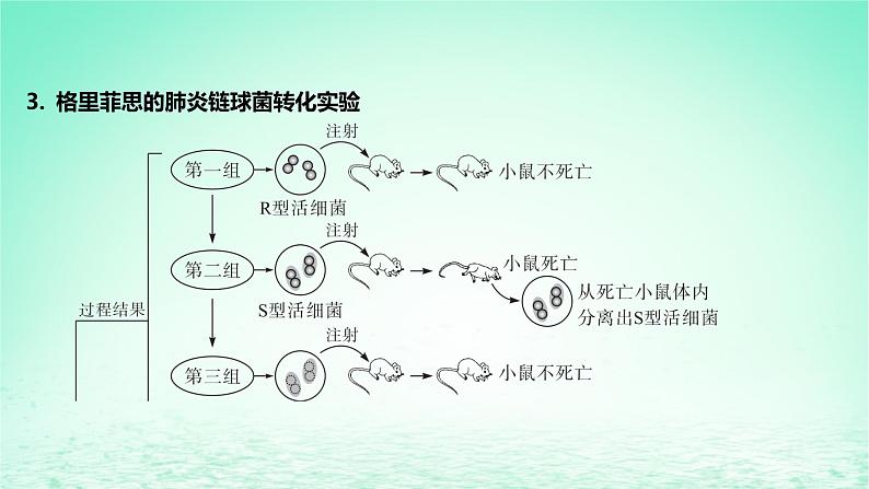 江苏专版2023_2024学年新教材高中生物第3章基因的本质第1节DNA是主要的遗传物质课件新人教版必修2第7页