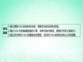 江苏专版2023_2024学年新教材高中生物第3章基因的本质第2节DNA的结构课件新人教版必修2