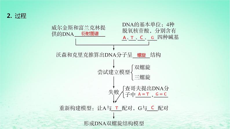 江苏专版2023_2024学年新教材高中生物第3章基因的本质第2节DNA的结构课件新人教版必修2第6页