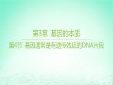 江苏专版2023_2024学年新教材高中生物第3章基因的本质第4节基因通常是有遗传效应的DNA片段课件新人教版必修2