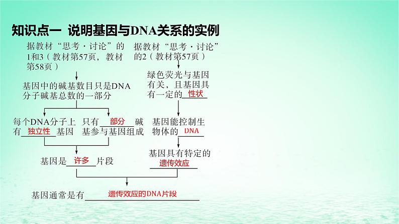 江苏专版2023_2024学年新教材高中生物第3章基因的本质第4节基因通常是有遗传效应的DNA片段课件新人教版必修205