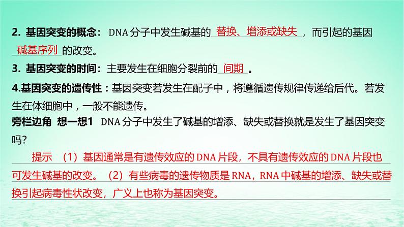 江苏专版2023_2024学年新教材高中生物第5章基因突变及其他变异第1节基因突变和基因重组第1课时基因突变课件新人教版必修2第8页