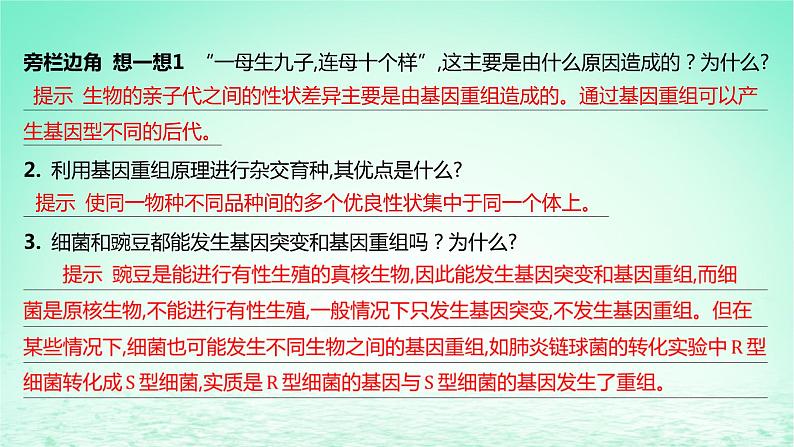 江苏专版2023_2024学年新教材高中生物第5章基因突变及其他变异第1节基因突变和基因重组第2课时基因重组课件新人教版必修206