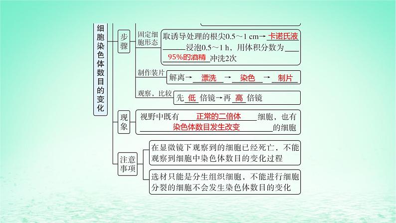 江苏专版2023_2024学年新教材高中生物第5章基因突变及其他变异第2节染色体变异第2课时低温诱导植物细胞染色体数目的变化的实验和染色体的结构变异课件新人教版必修2第6页