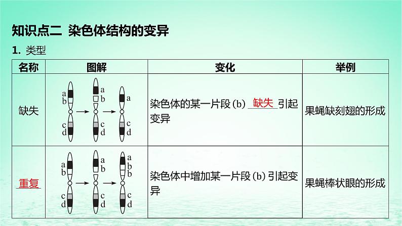 江苏专版2023_2024学年新教材高中生物第5章基因突变及其他变异第2节染色体变异第2课时低温诱导植物细胞染色体数目的变化的实验和染色体的结构变异课件新人教版必修2第8页