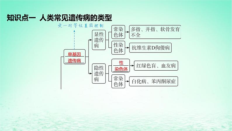 江苏专版2023_2024学年新教材高中生物第5章基因突变及其他变异第3节人类遗传病课件新人教版必修2第5页