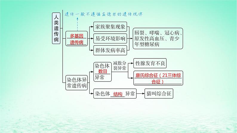 江苏专版2023_2024学年新教材高中生物第5章基因突变及其他变异第3节人类遗传病课件新人教版必修2第6页