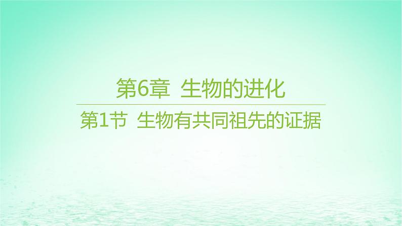 江苏专版2023_2024学年新教材高中生物第6章生物的进化第1节生物有共同祖先的证据课件新人教版必修201