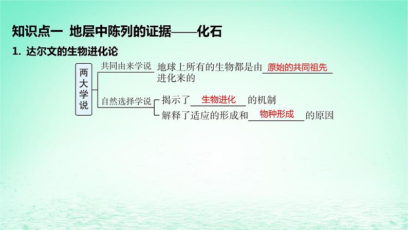 江苏专版2023_2024学年新教材高中生物第6章生物的进化第1节生物有共同祖先的证据课件新人教版必修205