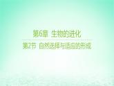 江苏专版2023_2024学年新教材高中生物第6章生物的进化第2节自然选择与适应的形成课件新人教版必修2