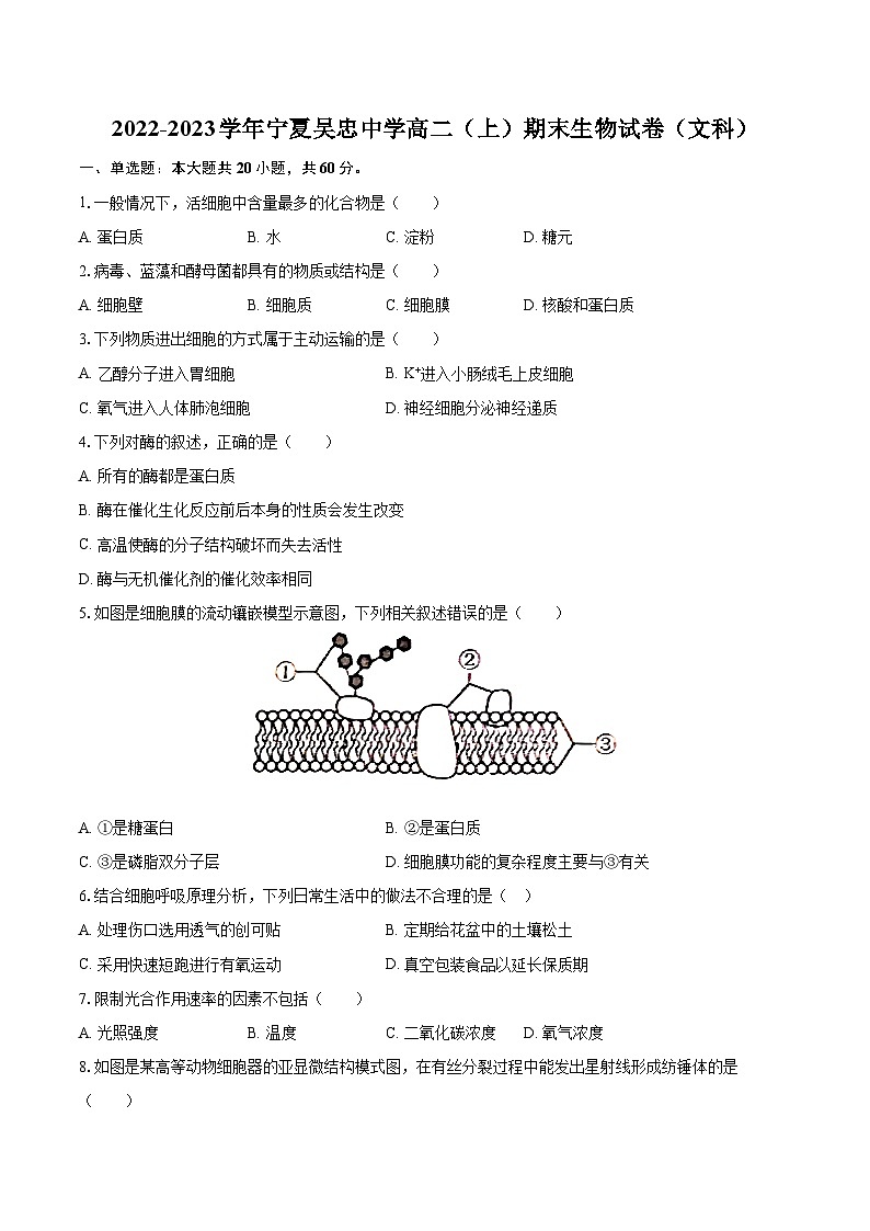 2022-2023学年宁夏吴忠中学高二（上）期末生物试卷（文科）（含解析）01
