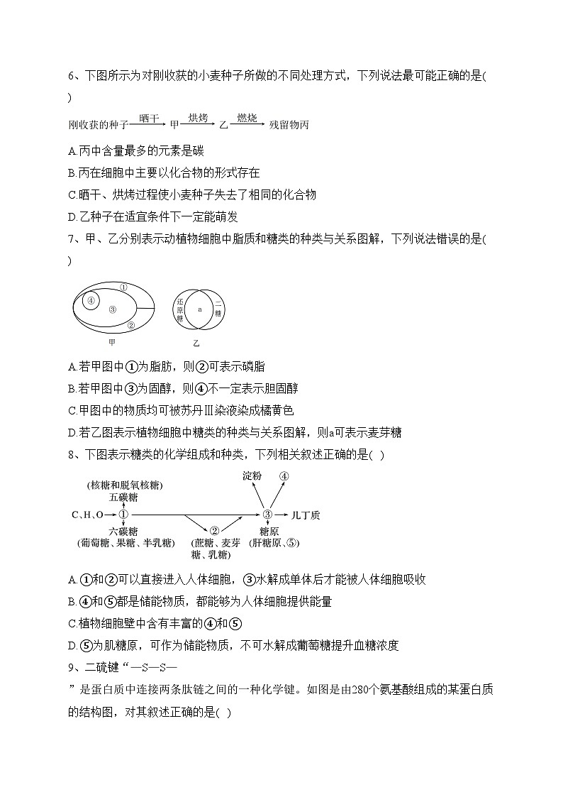 北镇市高级中学2023-2024学年高一上学期期中考试前选择卷训练1生物试卷(含答案)第3页