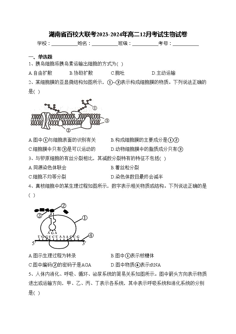 湖南省百校大联考2023-2024年高二12月考试生物试卷(含答案)01