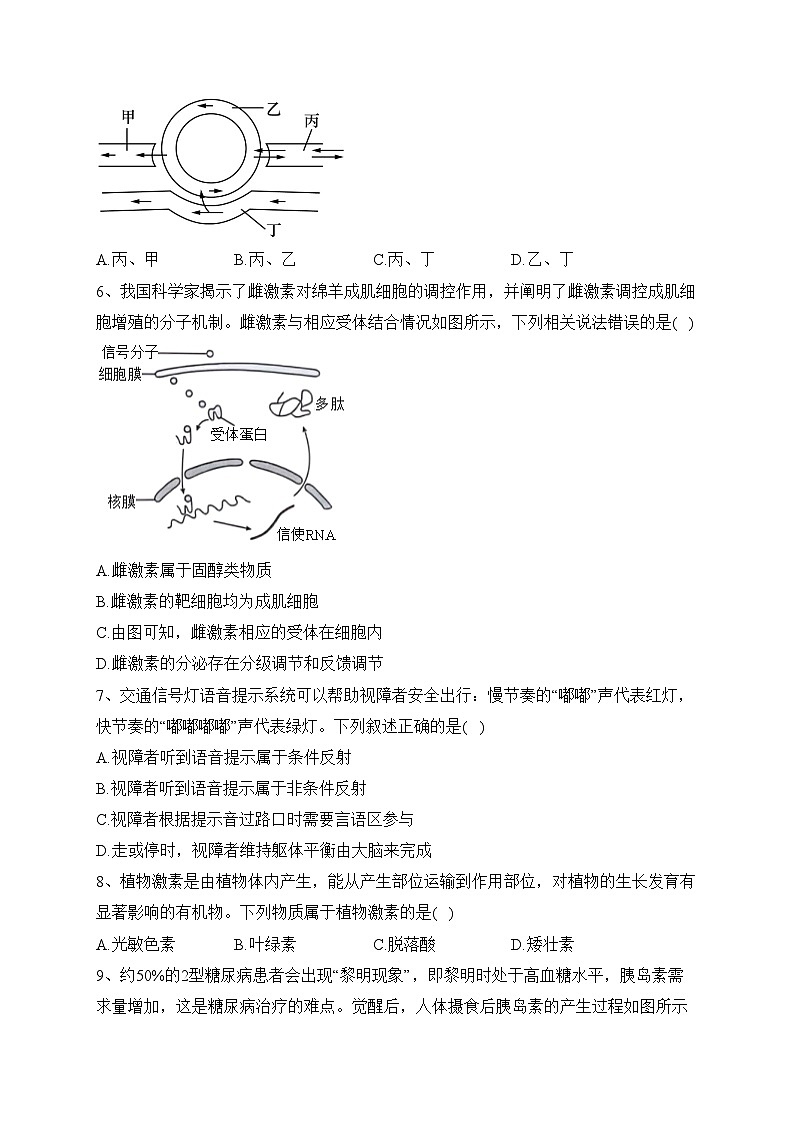 湖南省百校大联考2023-2024年高二12月考试生物试卷(含答案)02