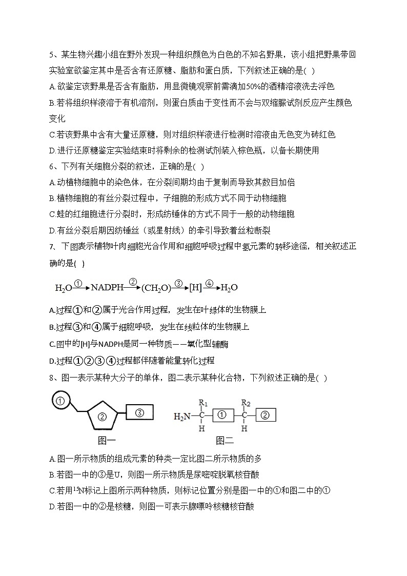 辽宁省五校联考2022-2023学年高一上学期期末考试生物试卷(含答案)第2页