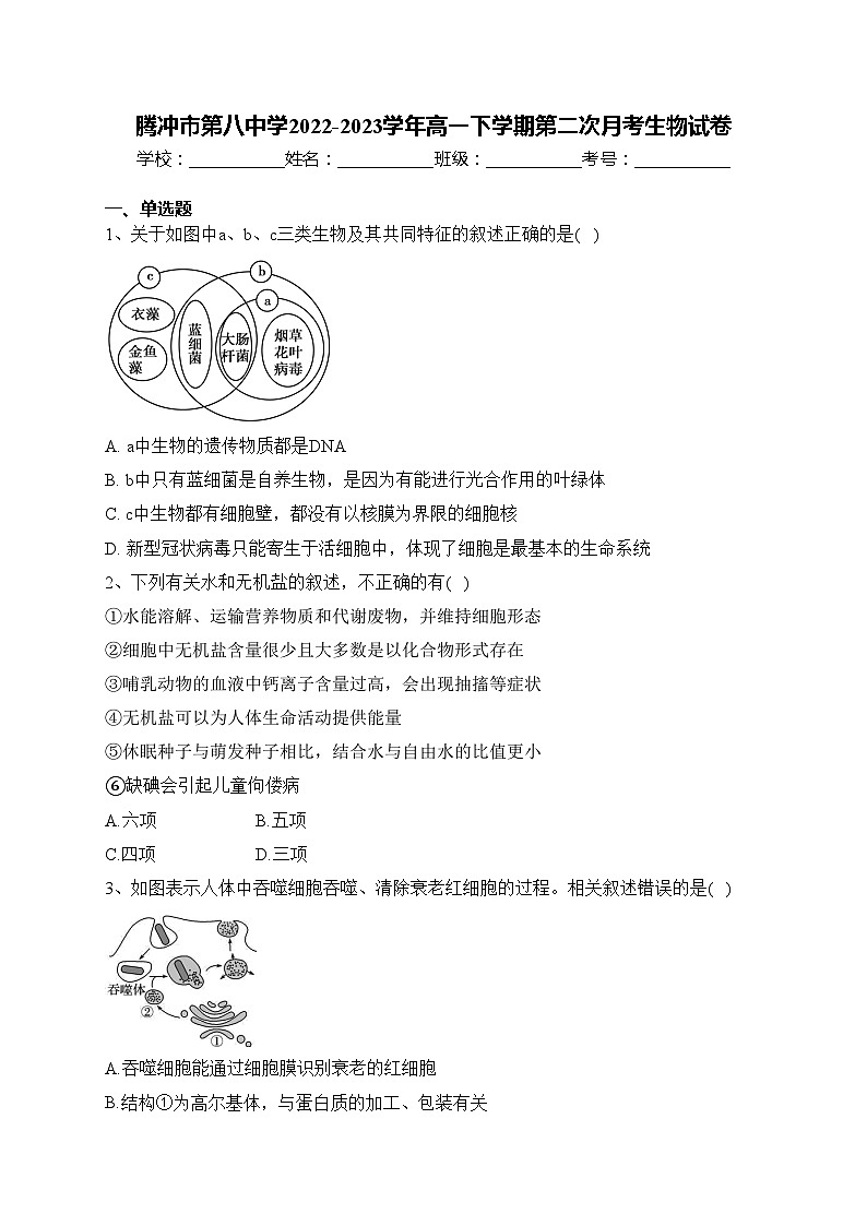 腾冲市第八中学2022-2023学年高一下学期第二次月考生物试卷(含答案)第1页