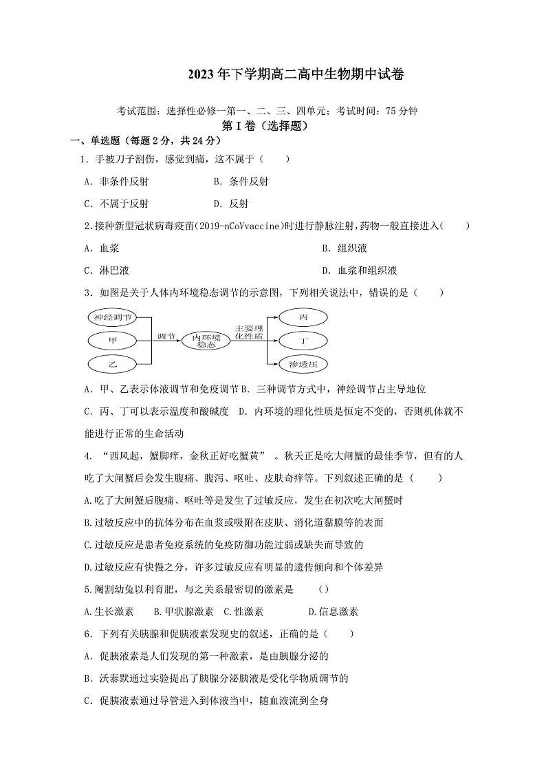 湖南省邵阳市新邵县第二中学2023-2024学年高二上学期期中生物试题01