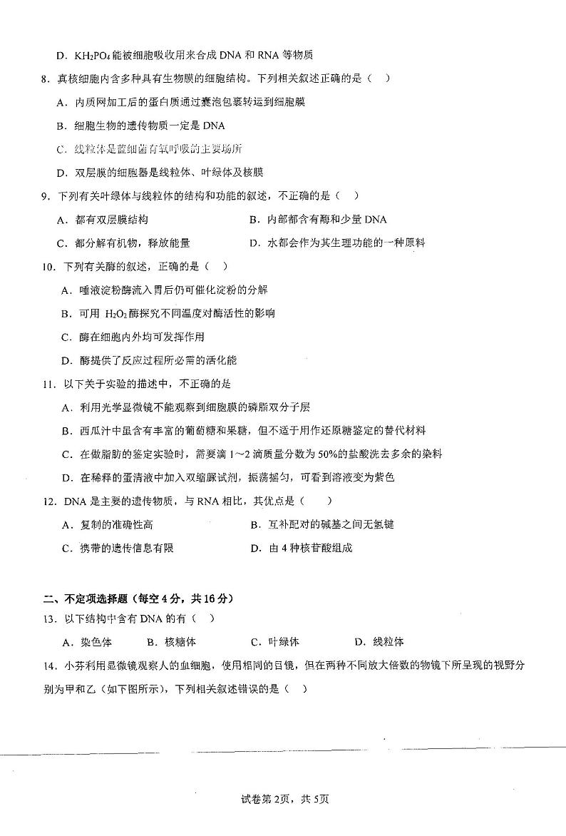 湖南省邵阳市新邵县第三中学2023-2024学年高一上学期12月月考生物试卷02